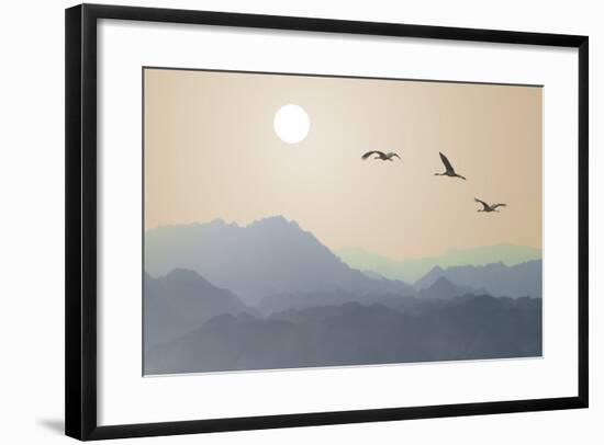 Migrating Cranes to the Sun over the Mountains-Protasov AN-Framed Photographic Print