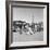 Migrating families camp by the road on their way to California, 1937-Dorothea Lange-Framed Photographic Print