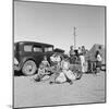 Migrating families camp by the road on their way to California, 1937-Dorothea Lange-Mounted Photographic Print