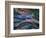 Migrating Salmon, Washington, USA-William Sutton-Framed Photographic Print