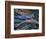 Migrating Salmon, Washington, USA-William Sutton-Framed Photographic Print