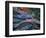 Migrating Salmon, Washington, USA-William Sutton-Framed Photographic Print