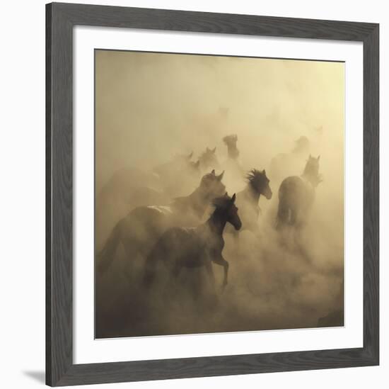 Migration Of Horses-Huseyin Ta?k?n-Framed Giclee Print