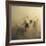 Migration Of Horses-Huseyin Ta?k?n-Framed Giclee Print