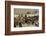 Migration of the Qashgai Tribe, Iran, Middle East-Sybil Sassoon-Framed Photographic Print