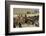 Migration of the Qashgai Tribe, Iran, Middle East-Sybil Sassoon-Framed Photographic Print