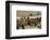 Migration of the Qashgai Tribe, Iran, Middle East-Sybil Sassoon-Framed Photographic Print