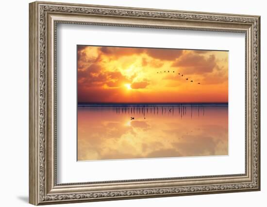 Migration-Marco Carmassi-Framed Photographic Print