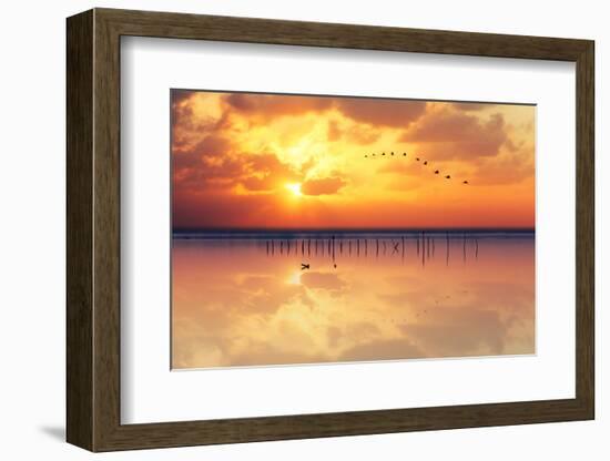 Migration-Marco Carmassi-Framed Photographic Print