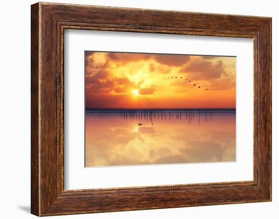 Migration-Marco Carmassi-Framed Photographic Print