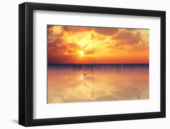 Migration-Marco Carmassi-Framed Photographic Print