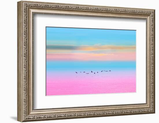 Migration-Marco Carmassi-Framed Photographic Print