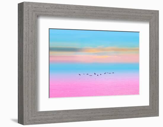 Migration-Marco Carmassi-Framed Photographic Print