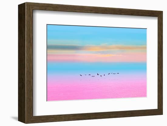 Migration-Marco Carmassi-Framed Photographic Print