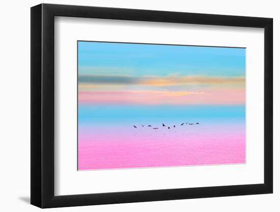 Migration-Marco Carmassi-Framed Photographic Print