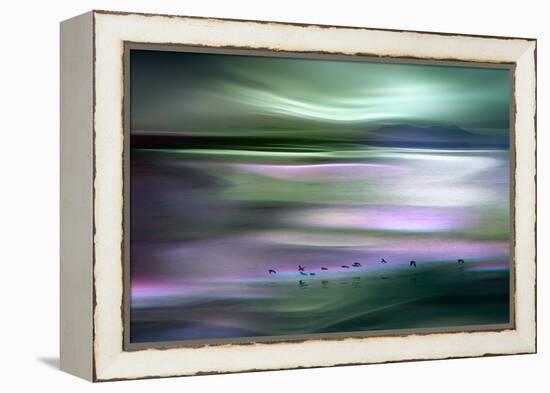 Migrations - Green Sky-Ursula Abresch-Framed Premier Image Canvas