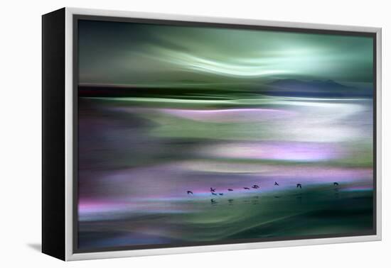 Migrations - Green Sky-Ursula Abresch-Framed Premier Image Canvas