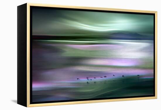 Migrations - Green Sky-Ursula Abresch-Framed Premier Image Canvas