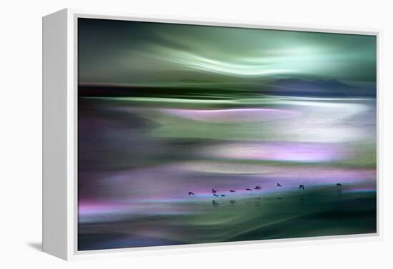 Migrations - Green Sky-Ursula Abresch-Framed Premier Image Canvas