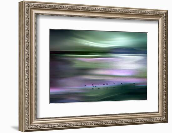 Migrations - Green Sky-Ursula Abresch-Framed Photographic Print