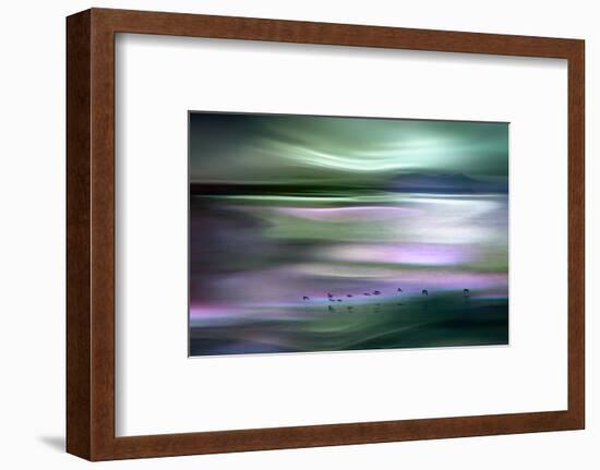 Migrations - Green Sky-Ursula Abresch-Framed Photographic Print