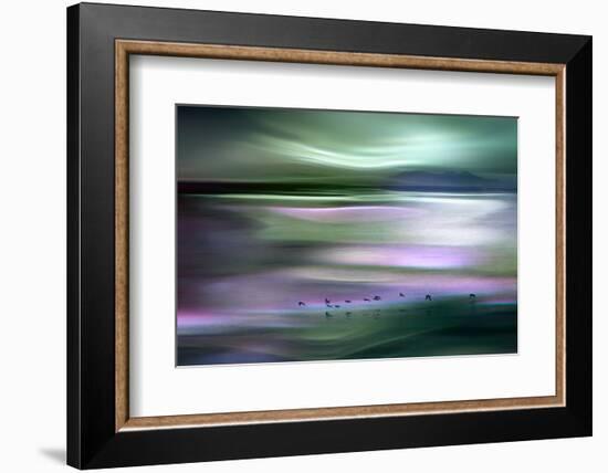 Migrations - Green Sky-Ursula Abresch-Framed Photographic Print