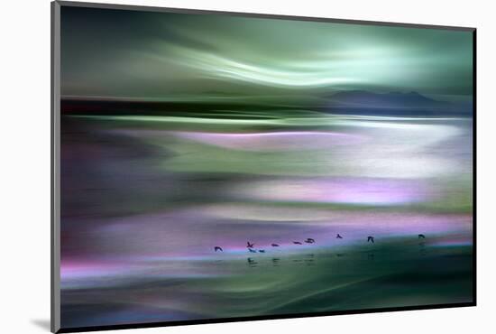 Migrations - Green Sky-Ursula Abresch-Mounted Photographic Print