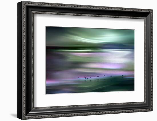 Migrations - Green Sky-Ursula Abresch-Framed Photographic Print