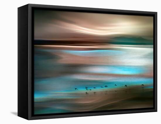 Migrations-Ursula Abresch-Framed Premier Image Canvas