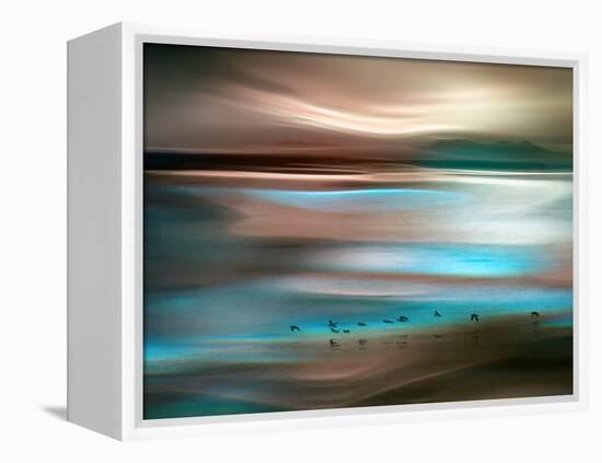 Migrations-Ursula Abresch-Framed Premier Image Canvas