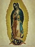 The Immaculate Conception with the Fifteen Mysteries of the Rosary-Miguel Cabrera-Giclee Print