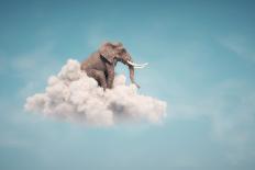 Elephant sitting on a cloud in the sky-Mihaela Rosu-Stretched Canvas