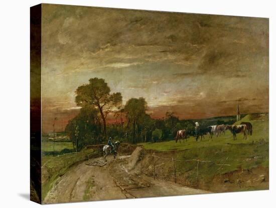 Stretched Canvas Print, , large