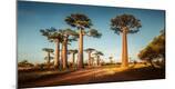 Photographic Print