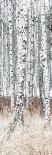 Lush Forest - Detail-Mikael Svensson-Giclee Print