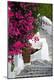 Premium Photographic Print