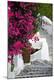 Premium Photographic Print