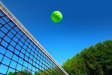 Tennis Ball on Net's Edge-mikdam-Photographic Print