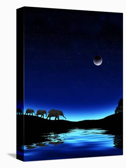 Stretched Canvas Print, , large
