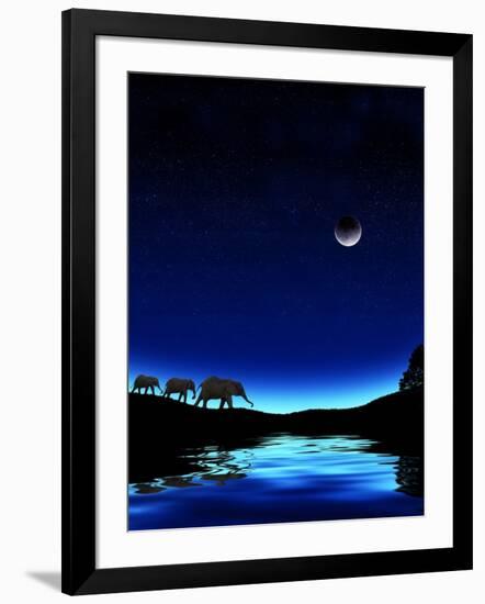 Photographic Print, , large
