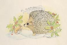 Hedgehog in the Snow with Holly-Mike Alexander-Giclee Print