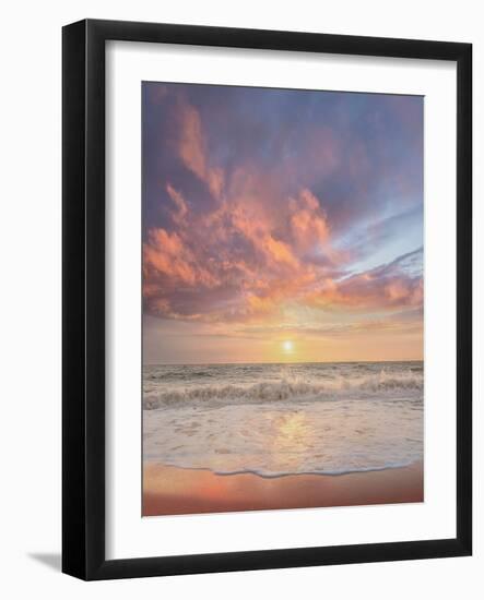 Photo, , large