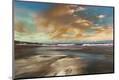Premium Photographic Print