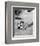 Mike Connors - Mannix-null-Framed Photo