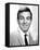 Mike Connors - Mannix-null-Framed Stretched Canvas