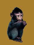 The Baby Macaque on Golden Yellow, 2020, (Pen and Ink)-Mike Davis-Giclee Print
