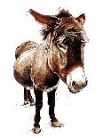 The Little Donkey on White, 2020, (Pen and Ink)-Mike Davis-Giclee Print