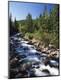 Premium Photographic Print
