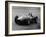 Mike Hawthorn in the Dutch Grand Prix, Zandvoort, 1958-null-Framed Photographic Print