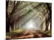 Photographic Print